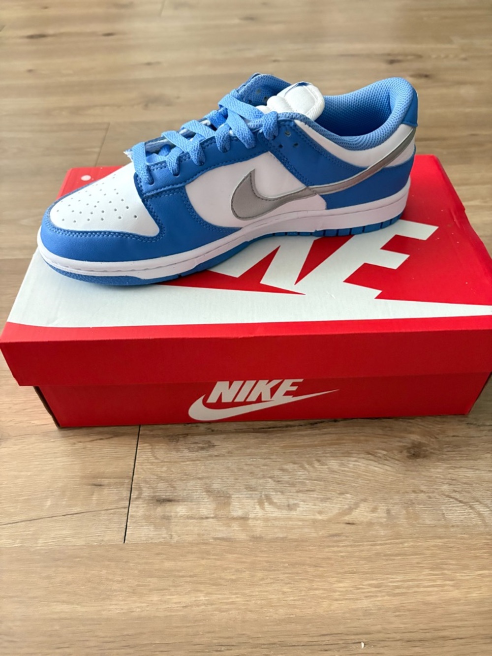 Nike Dunks in Blue and White